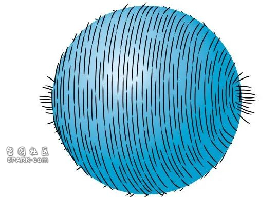 你脑袋上的旋 隐藏着核聚变的奥秘(图)