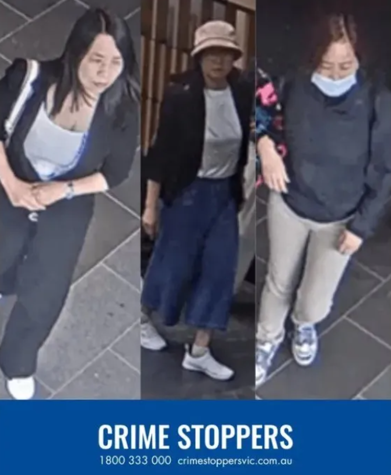 华人大爷大妈机场被捕!华人同胞拍手叫好(组图)