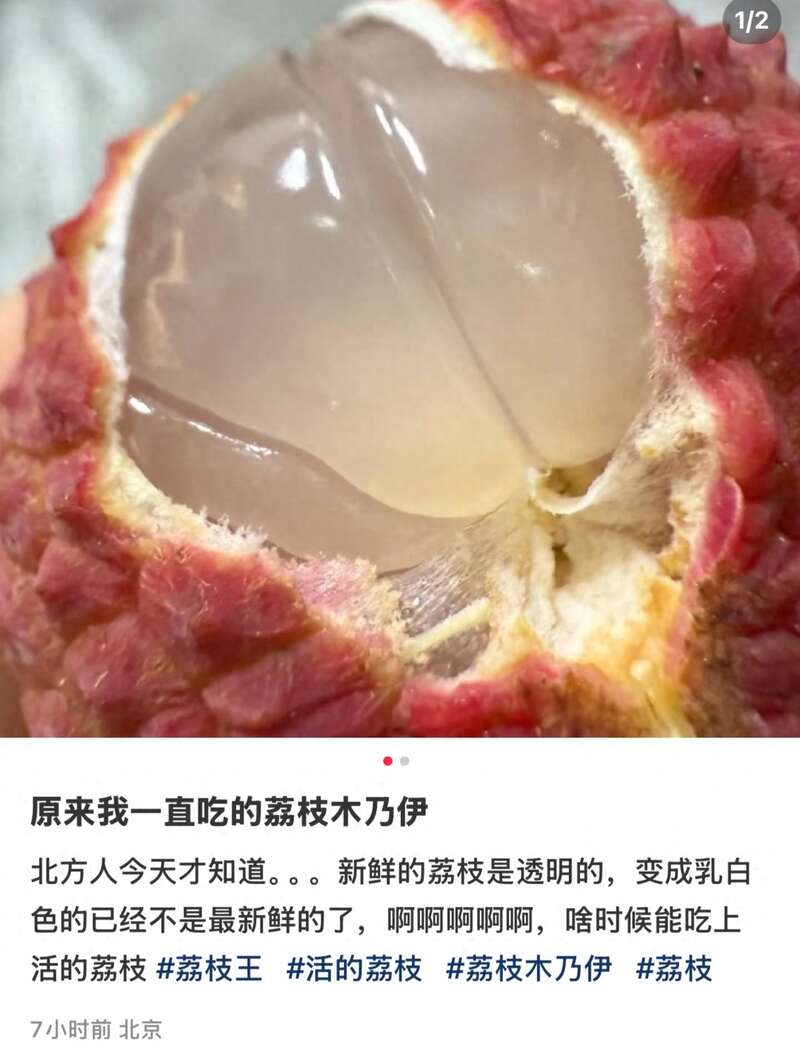 原来我吃的是荔枝“尸体”引热议 专家:真的(图)