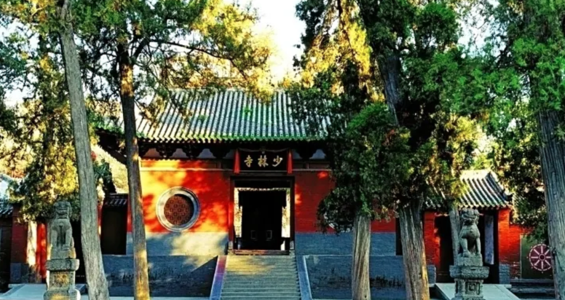 少林寺今天又有大事发生!评论区笑死人…(组图)