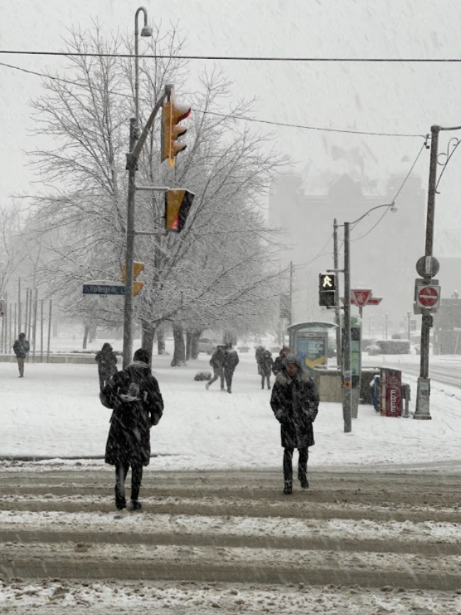 “极其混乱”!多伦多迎15cm大雪+冻雨+冰粒! Boxing Day出行打乱