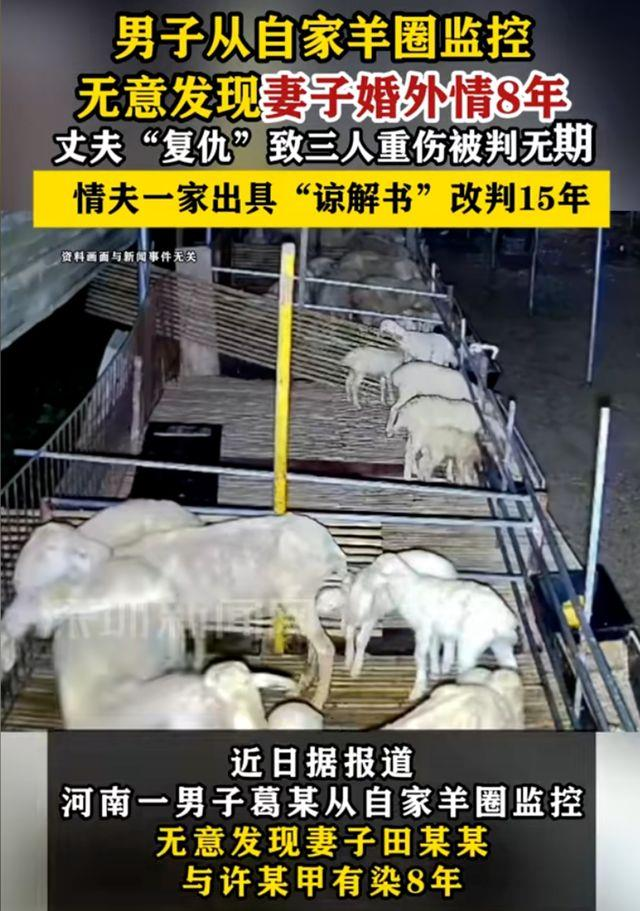 男看羊圈监控发现妻出轨8年 砍情夫1家4口 后续太扎心